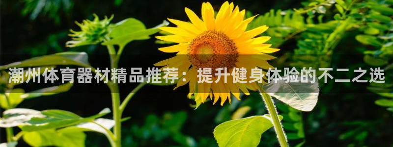 尊龙凯时ag旗舰厅登陆