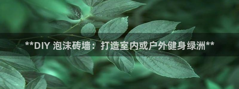 尊龙凯时网娱乐官网