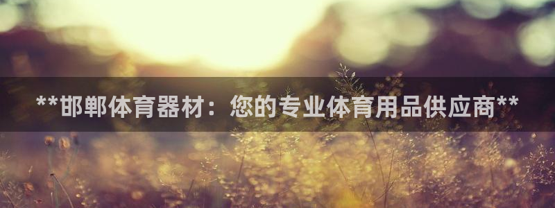 尊龙凯时网站怎么样