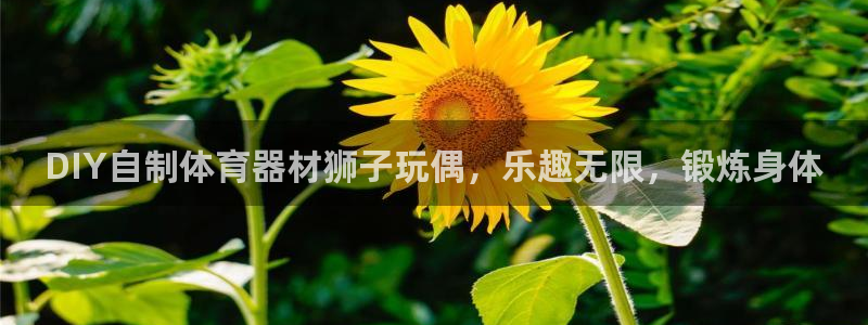 尊龙app登录不了