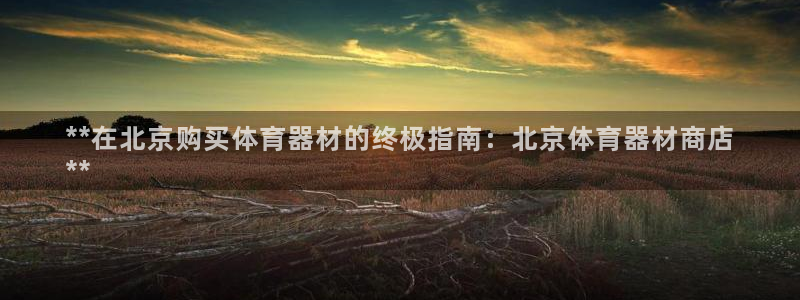 尊龙凯时干什么的
