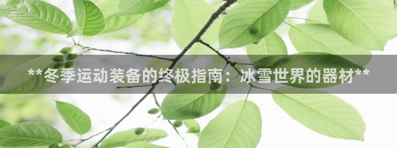 尊龙集团有限公司是国企吗