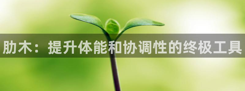 尊龙新版app首页：肋木：提升体能和协调性的终极工具
