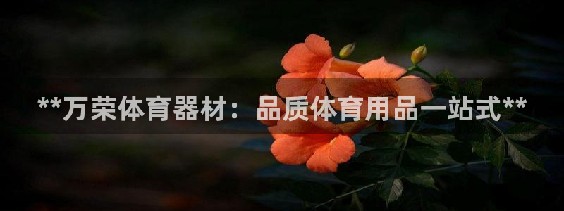 d88尊龙平台开户