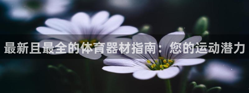 尊龙t500和t300区别