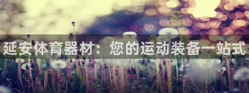 尊龙官网手机版下载