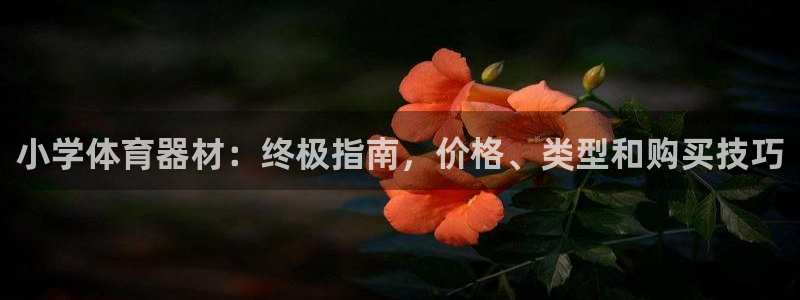 尊龙官网在哪里