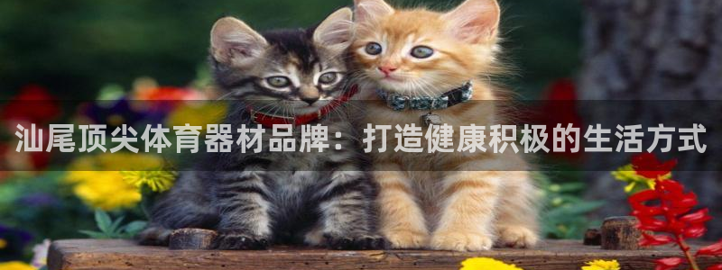 尊龙凯时人生就是博·(中国)官网首页