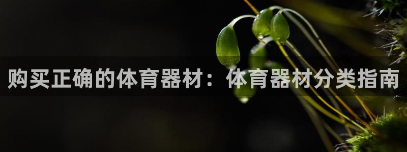 尊龙怎么没消息了