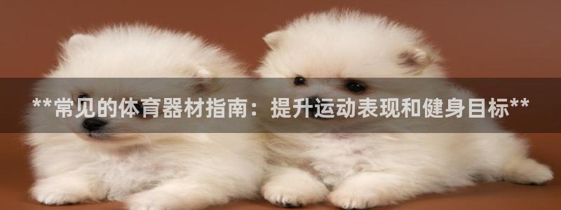 尊龙凯时平台不给出款怎么办