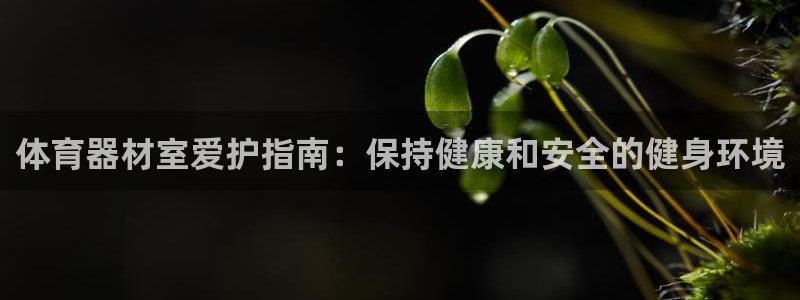 z6尊龙z6