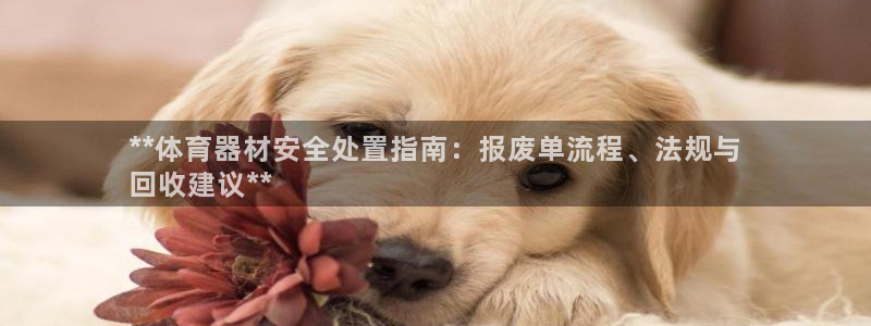 尊龙旗舰厅app