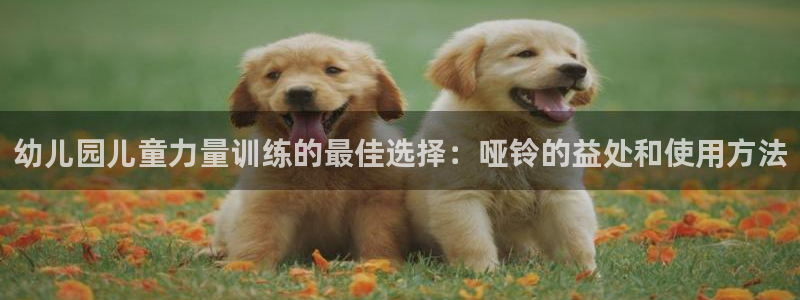 尊龙凯时总部在哪里