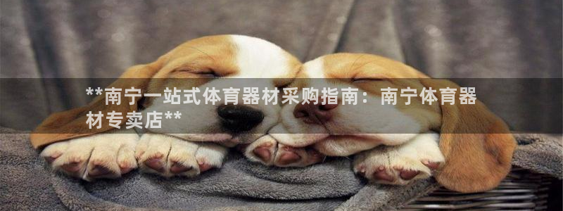 尊龙凯时泰安