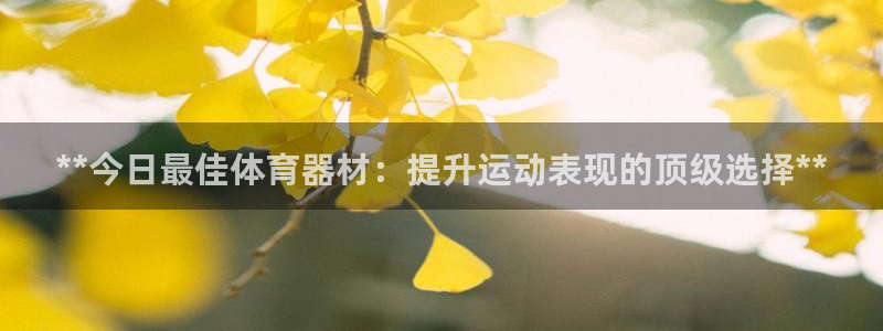 尊龙凯时有假么