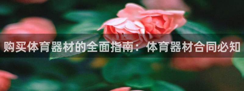 尊龙专访