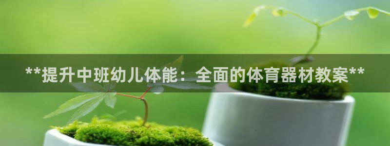 尊龙旗舰店