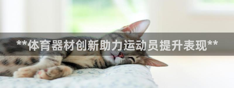 尊龙凯时集团