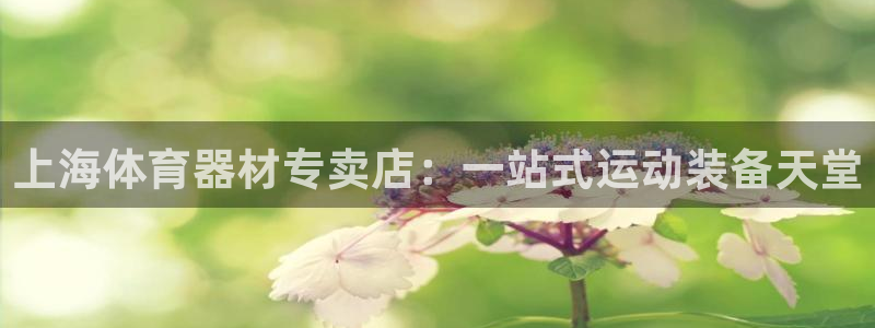 尊龙凯时美金能提取吗：上海体育器材专卖店：一站式运动装备天堂