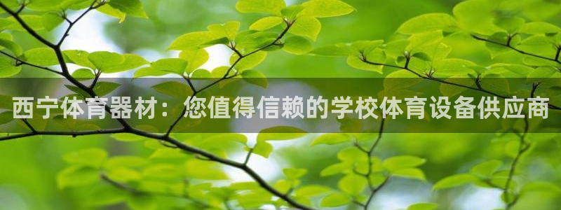 尊龙人生就是博用现金玩一下