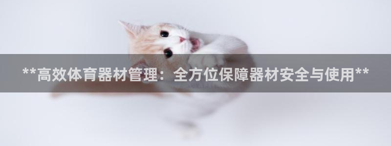 尊龙官网手机版：**高效体育器材管理：全方位保障器材安全与使