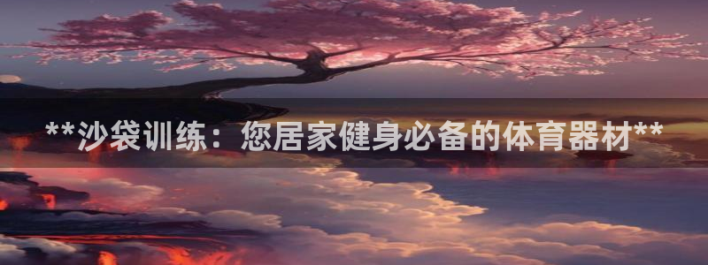 尊龙凯时注册入口：**沙袋训练：您居家健身必备的体育器材**