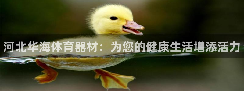 尊龙现金一下指导AG发财网