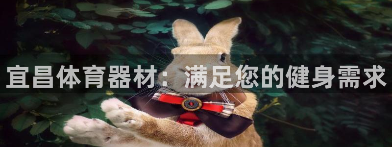 z6com尊龙凯时百家乐