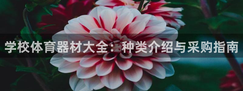 旧版尊龙人生就是博下载