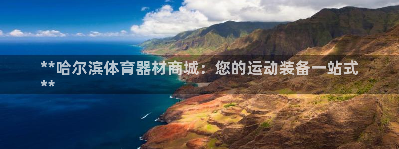 尊龙手机客户端下载APP：**哈尔滨体育器材商城：您的运动装