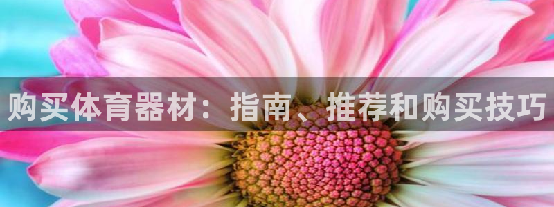尊龙t500和t300区别
