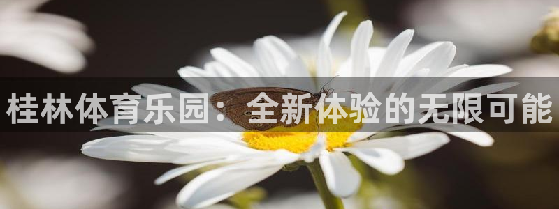 凯时kb88官方