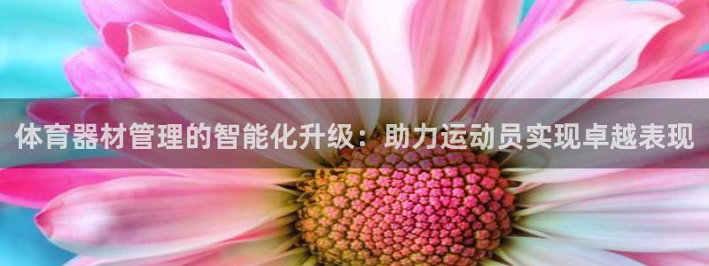 尊龙人生就是博电脑版