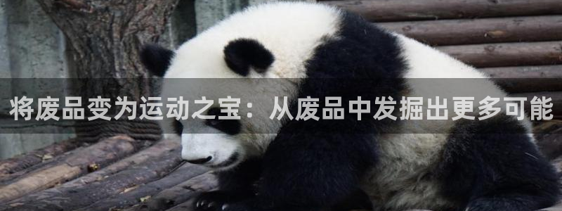 尊龙手机客户端下载