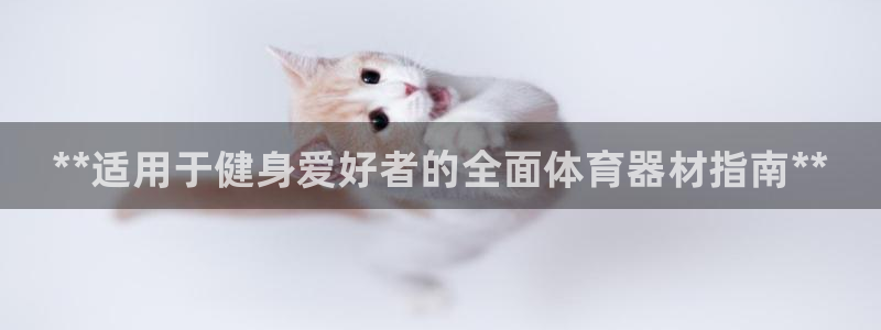 尊龙凯时发展历程