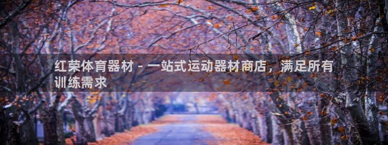 d88尊龙手机登录下载