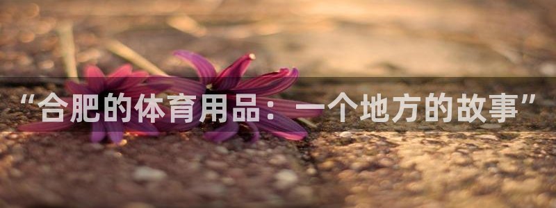 尊龙凯时官方下载：“合肥的体育用品：一个地方的故事”