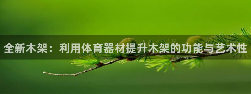 KB88凯时官网：全新木架：利用体育器材提升木架的功能与艺术