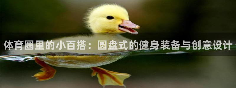 凯时官网的售后服务：体育圈里的小百搭：圆盘式的健身装备与创意