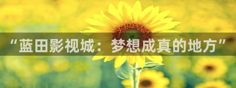 神秘博士高清免费观看