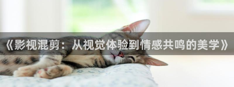 神秘博士高清免费观看