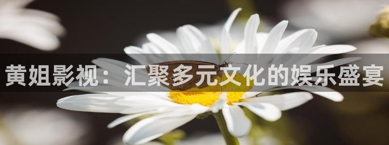 神秘电影影院
