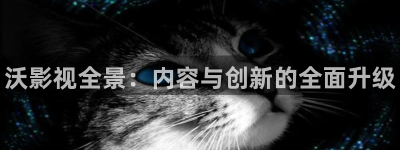 神秘博士高清免费观看