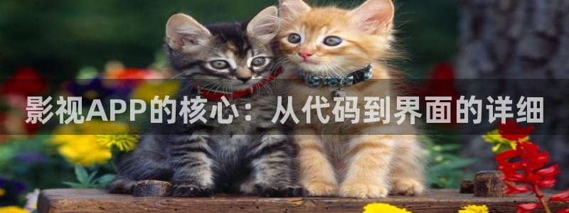 神秘影院青苹果
