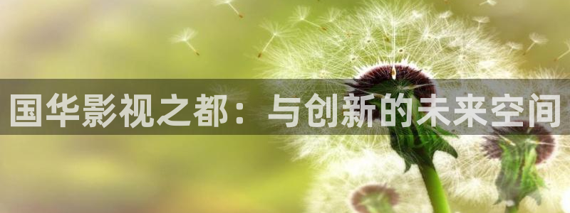 神秘电影国产影院