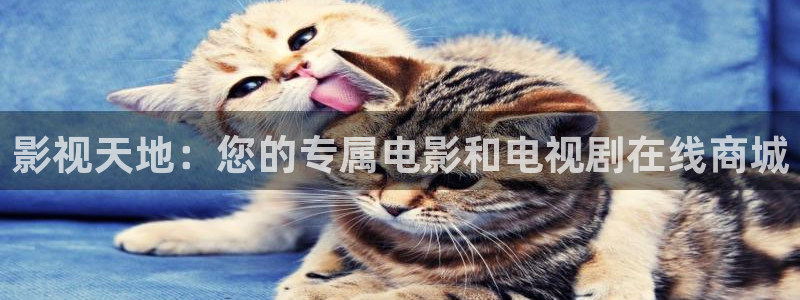 欧美神秘影院