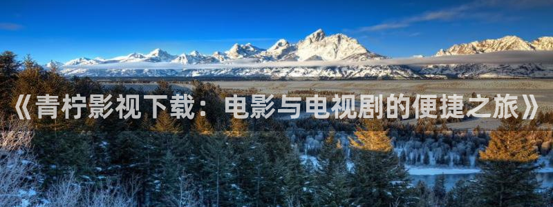 神秘电影国产影院