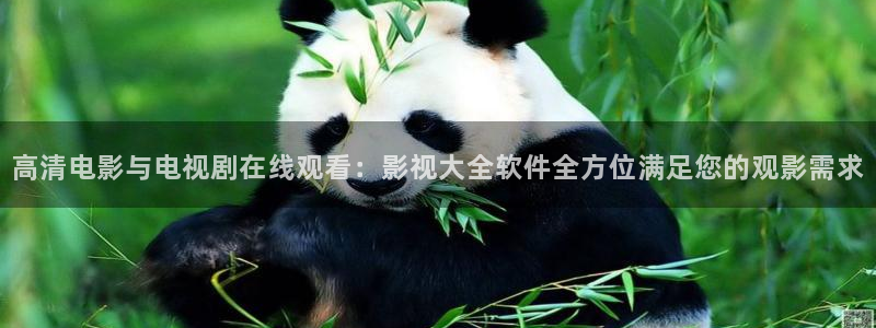 神秘博士高清免费观看