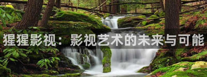 神秘博士高清免费观看