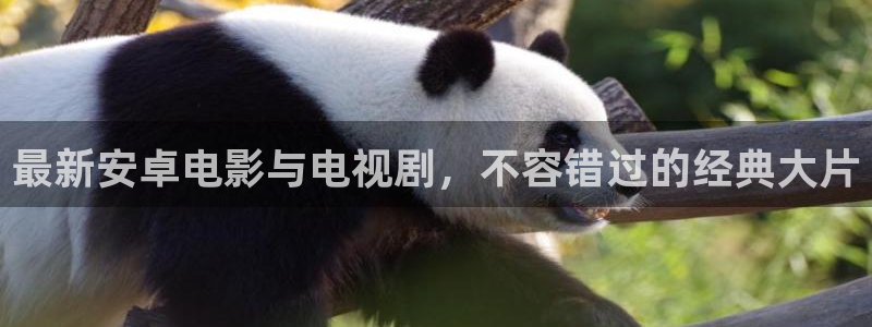 欧美神秘影院